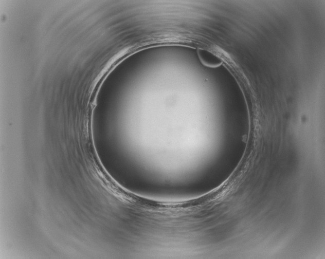 X0000057081236200509091240