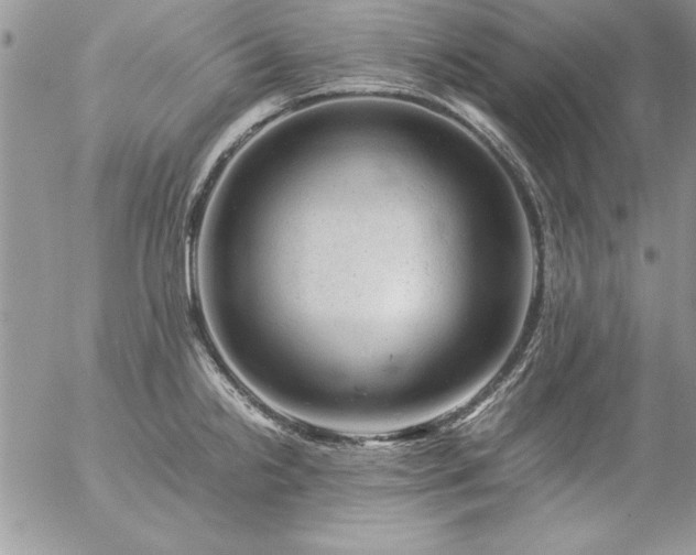 X0000057081238200509091240