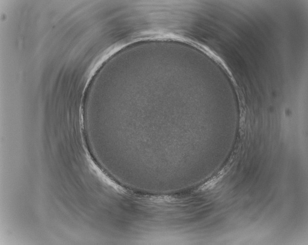 X0000057081239200509091240