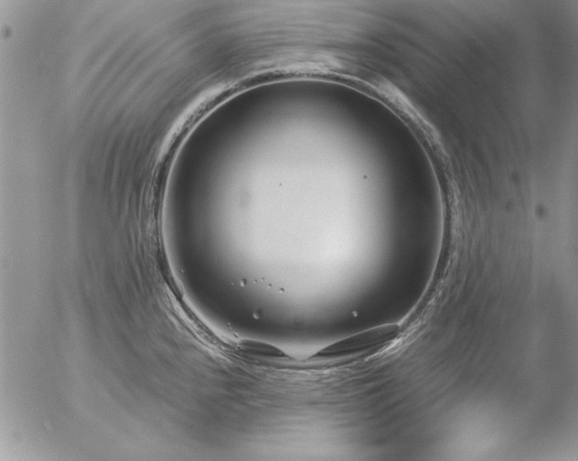 X0000057081240200509091240