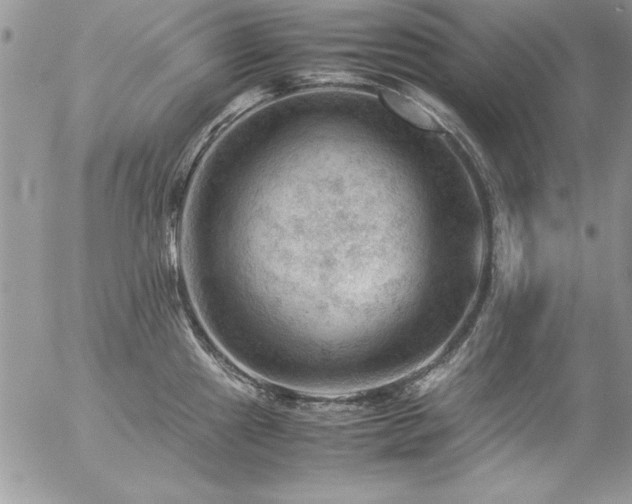 X0000057081241200509091240