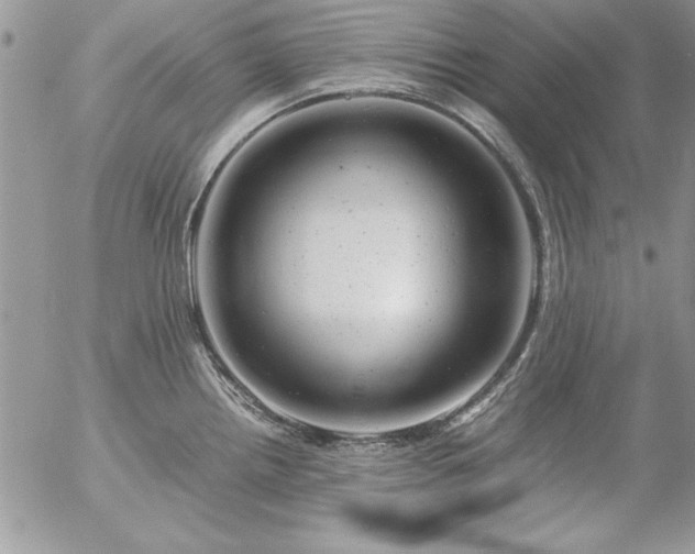 X0000057081242200509091240