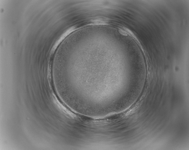 X0000057081243200509091240