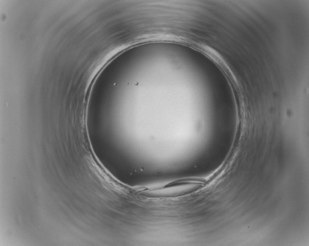 X0000057081244200509091240