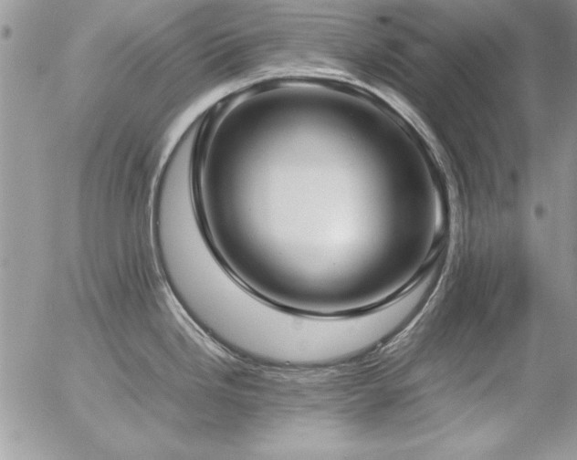 X0000057081246200509091240