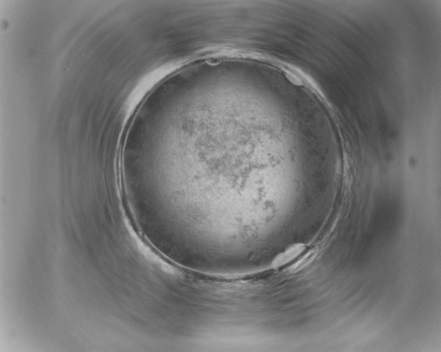 X0000057081247200509091240