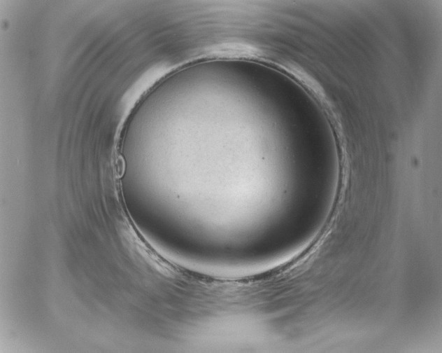 X0000057081248200509091240