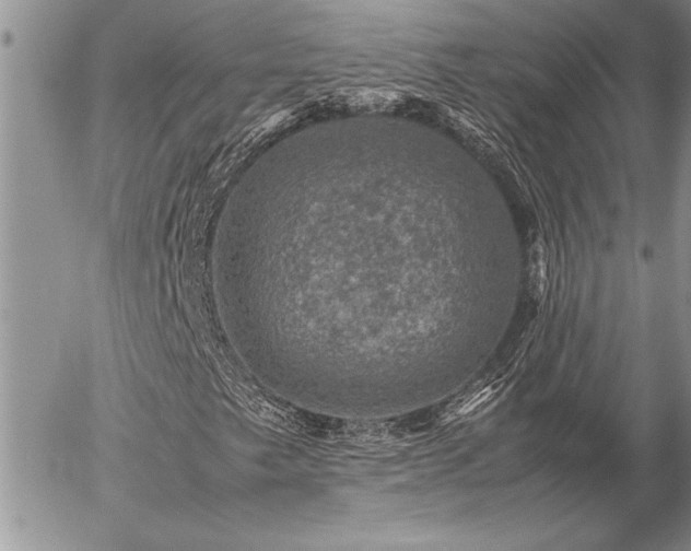 X0000057081249200509091239