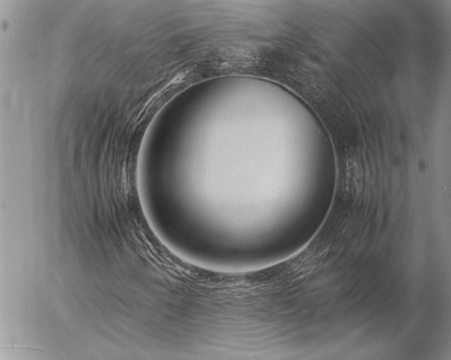 X0000057081250200509091239