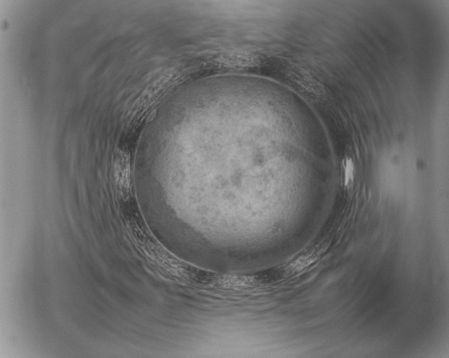 X0000057081251200509091239