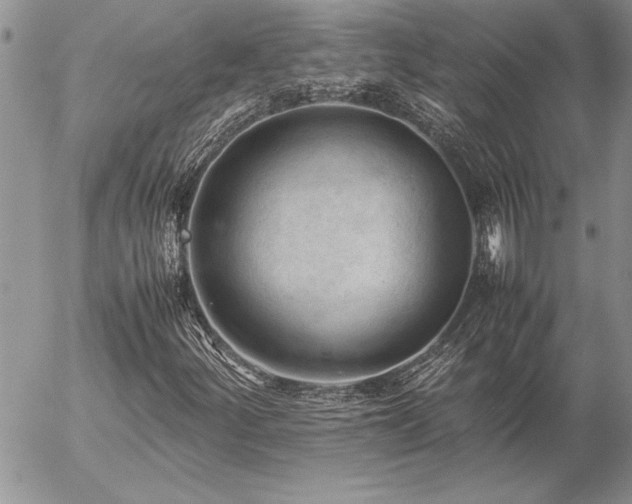 X0000057081252200509091239