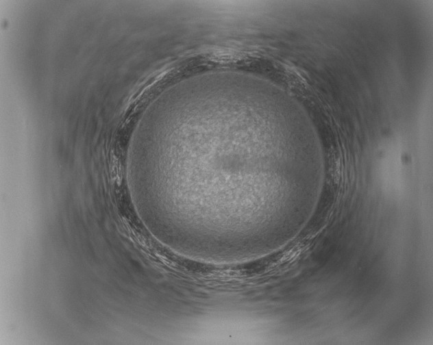 X0000057081253200509091239