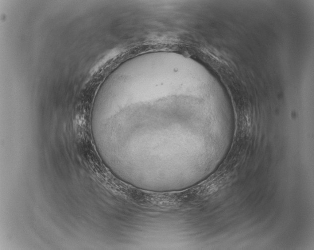 X0000057081254200509091239