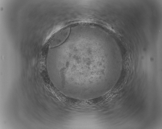 X0000057081255200509091239