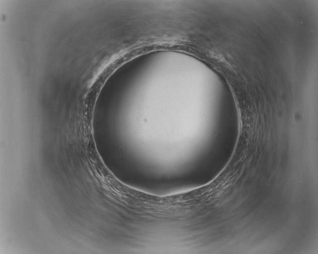 X0000057081256200509091239