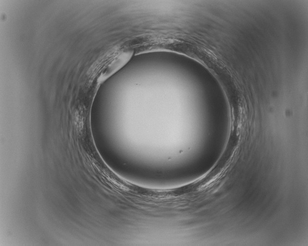 X0000057081257200509091239