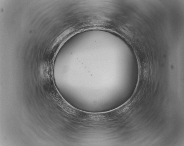 X0000057081258200509091239