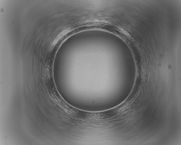 X0000057081259200509091239