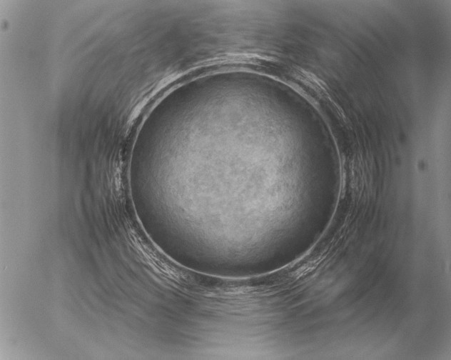 X0000057081260200509091239