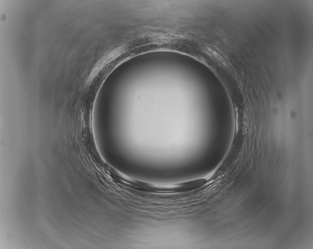 X0000057081261200509091239