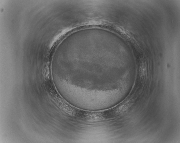 X0000057081262200509091239