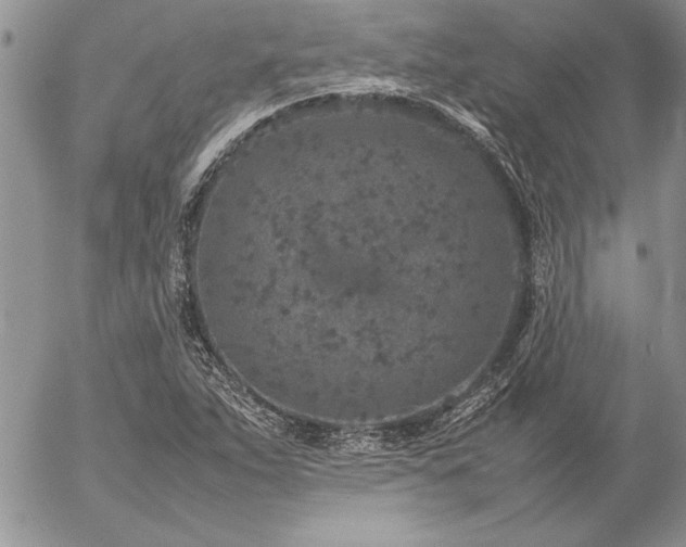 X0000057081263200509091239