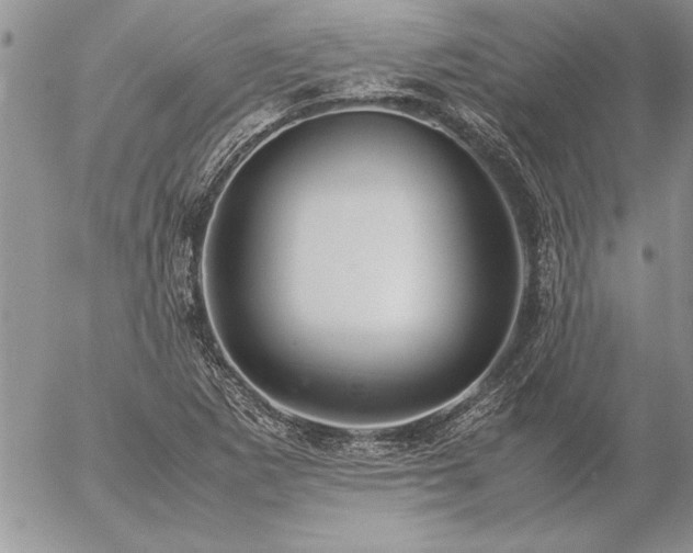 X0000057081265200509091239