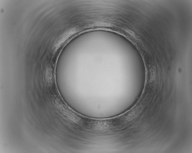 X0000057081266200509091239