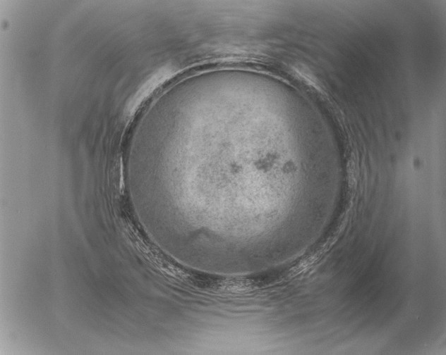 X0000057081267200509091239