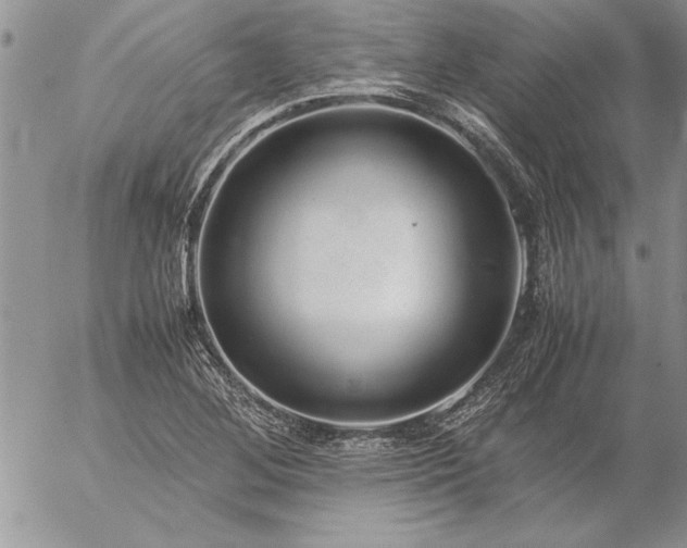 X0000057081268200509091239