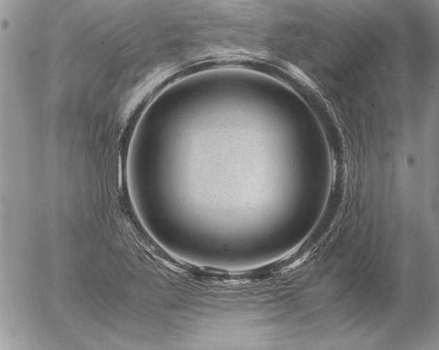 X0000057081269200509091239