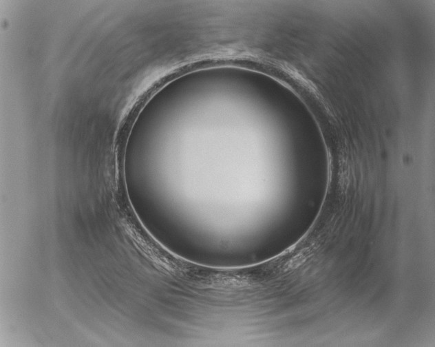 X0000057081270200509091239