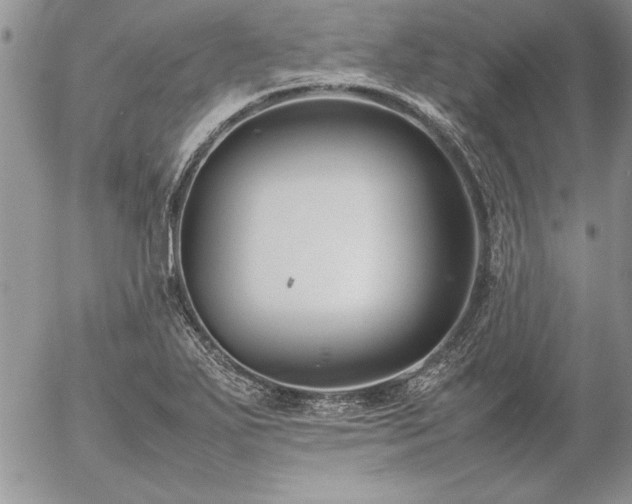 X0000057081271200509091239