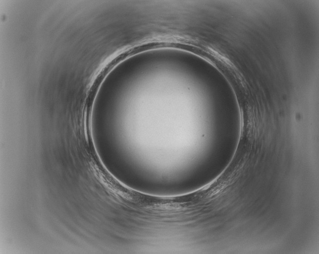 X0000057081272200509091239