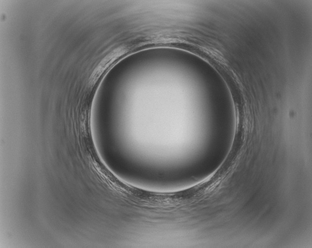 X0000057081273200509091238