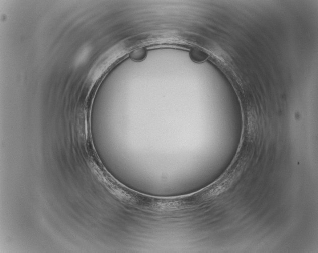 X0000057081274200509091238