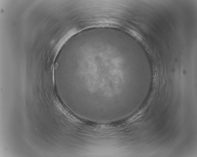 X0000057081275200509091238