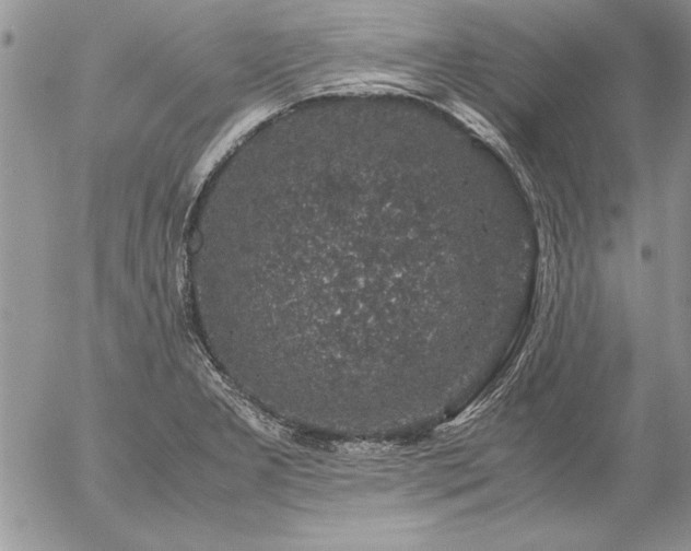 X0000057081277200509091238