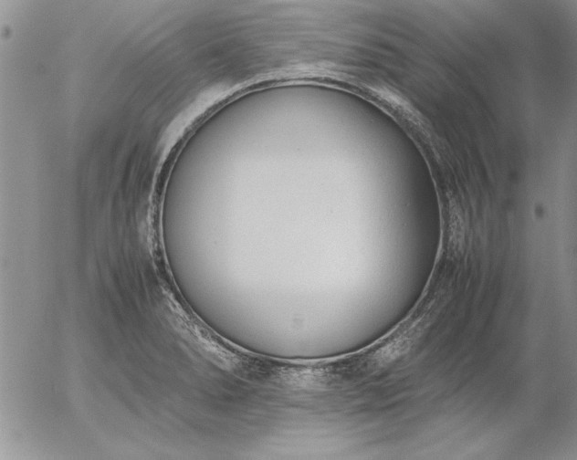 X0000057081278200509091238