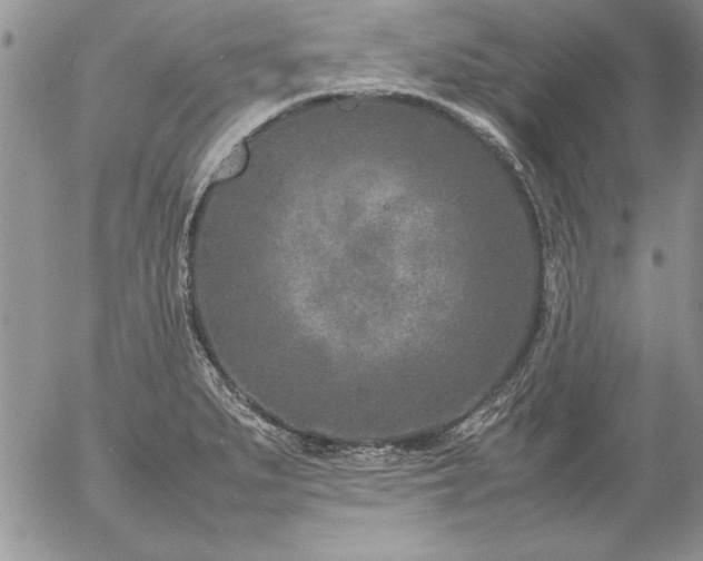 X0000057081279200509091238