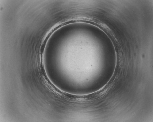 X0000057081280200509091238