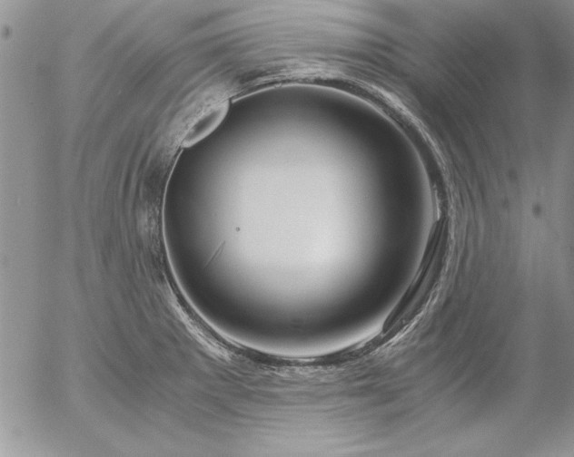 X0000057081281200509091238