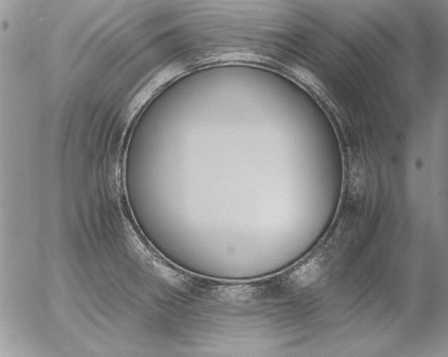 X0000057081282200509091238