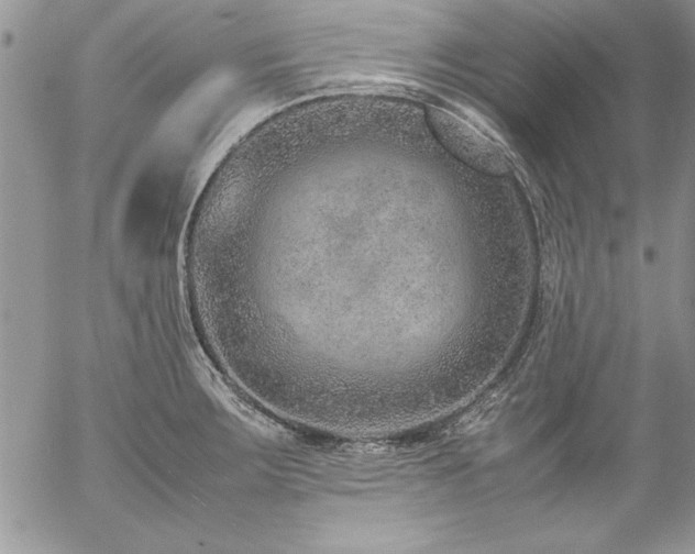 X0000057081283200509091238