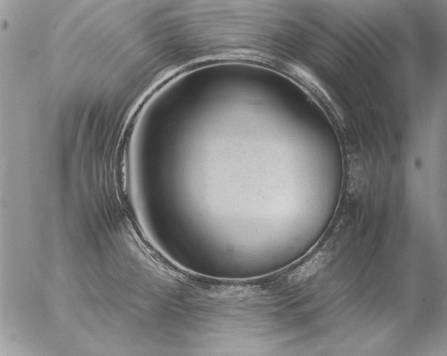 X0000057081284200509091238