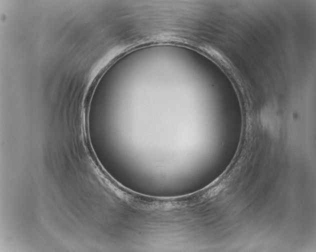 X0000057081286200509091238