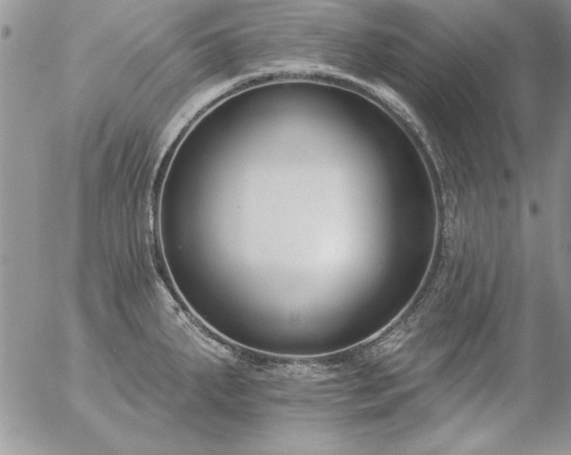 X0000057081287200509091238