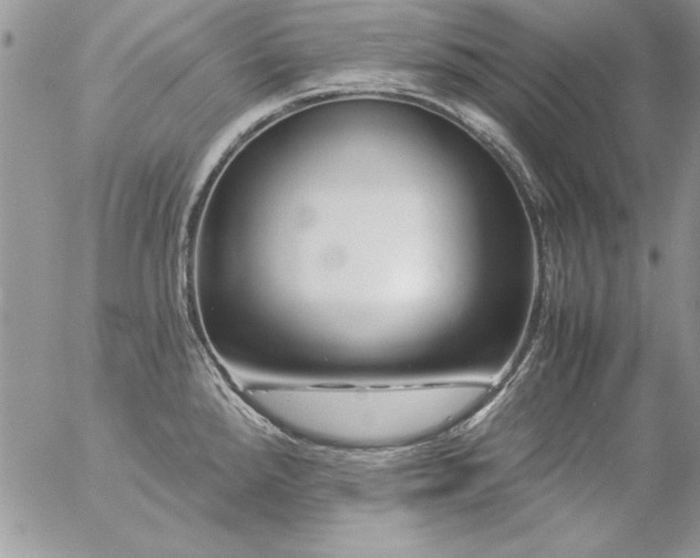 X0000057081288200509091238