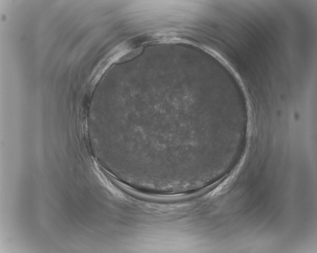 X0000057081289200509091238