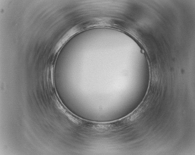 X0000057081290200509091238